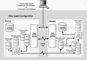 Data Guard Explanation