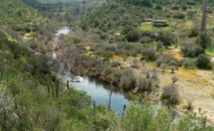 Trekking En Cerro Viejo