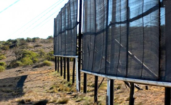 NUEVO SISTEMA DE ATRAPANIEBLA