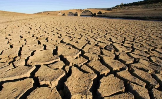 Combatiendo La Sequía