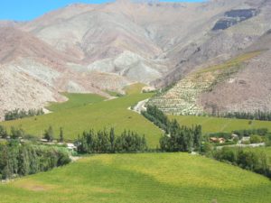 Valle-del-elqui-chile