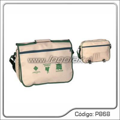 P868 BOLSO CONGRESO 102