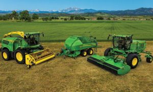 View Hay And Forage