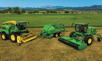 View Hay And Forage