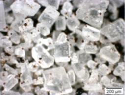 Particles-sugar-magnified