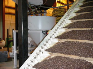 Coffee-beans-conveying