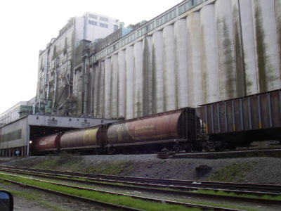 Grain-terminal