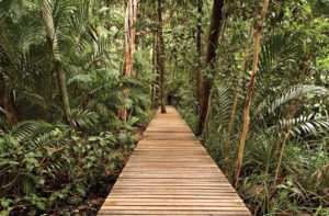 Activities & Experiences