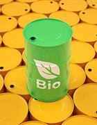 Biodiesel And Ethanol