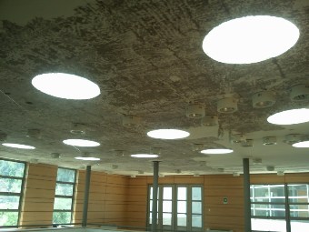 Reinforced Slab In Maimonides School