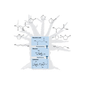 Printview, Biofuels And Bio Refineries