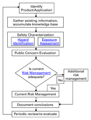 Product Safety Assessment