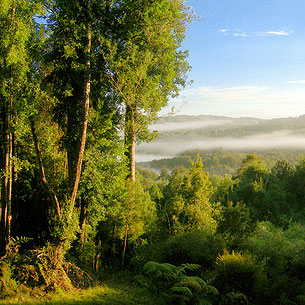 Medio Ambiente