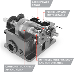 POWER PLANT GEARS (PPG