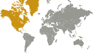 Surpac Geological Modelling