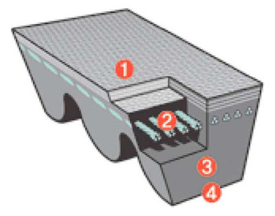 Correa-3V-dentadas