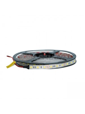 Cintas Led