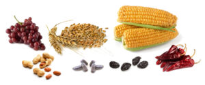 Análisis Micotoxinas