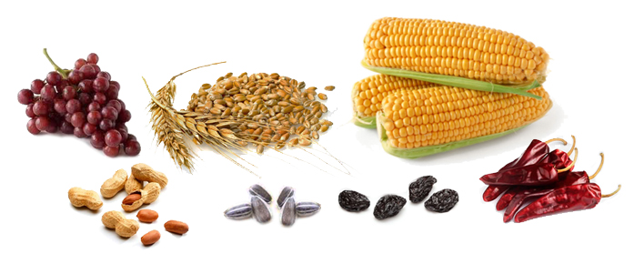 Análisis Micotoxinas