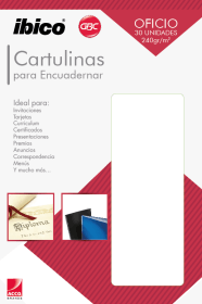 Cartulina Cuero Beige Oficio