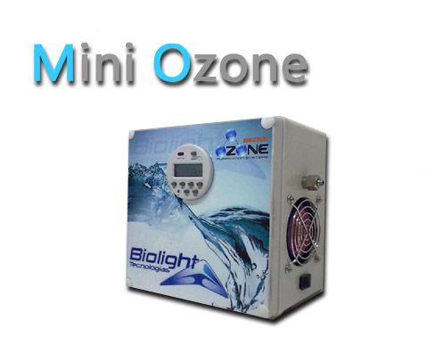 Mini-ozone