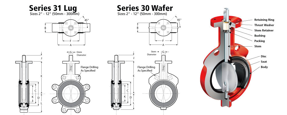 Series-30-31 Dims