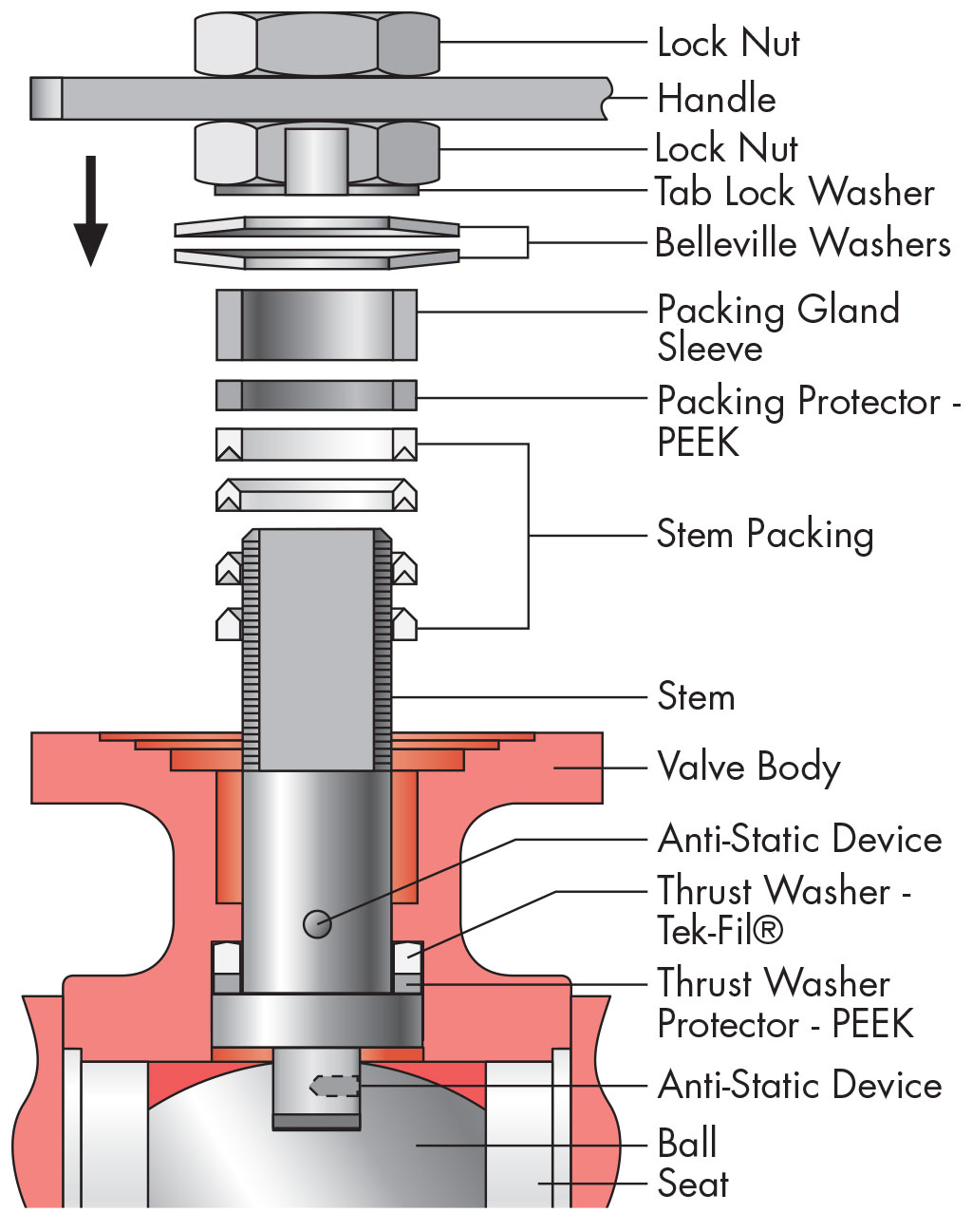 Smart Stem Sm