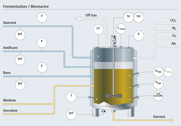 Fermentación En Biorreactores