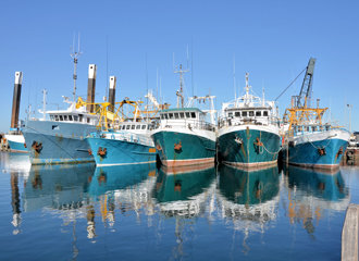 Barcos De Pesca