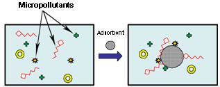 Micropollutants In Water: Treatment Processes