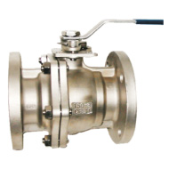 Inox Flange