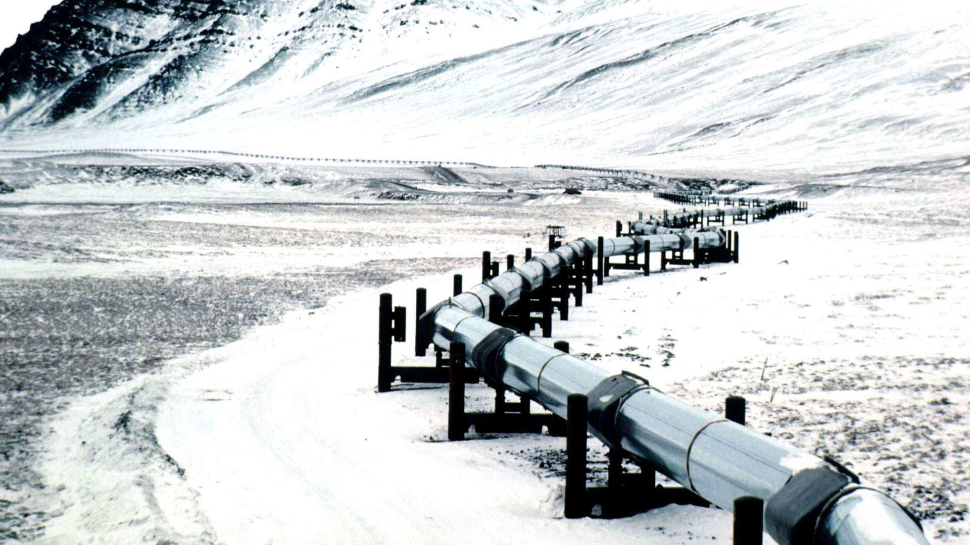 Trans-Alaska Oil Pipeline